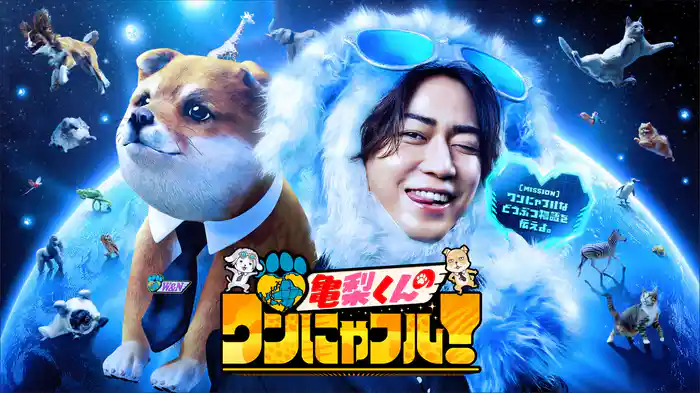 亀梨くんのワンにゃフル！