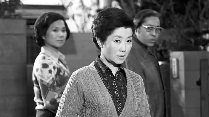 松本清張おんなシリーズ6｢熱い空気｣