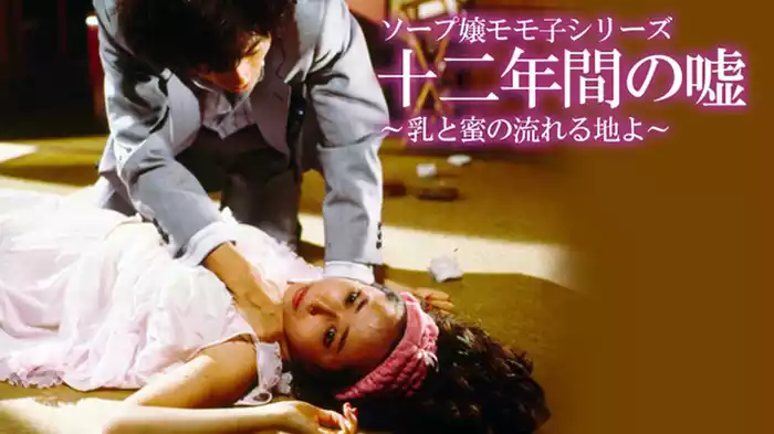 ソープ嬢モモ子シリーズ 十二年間の嘘～乳と蜜の流れる地よ～