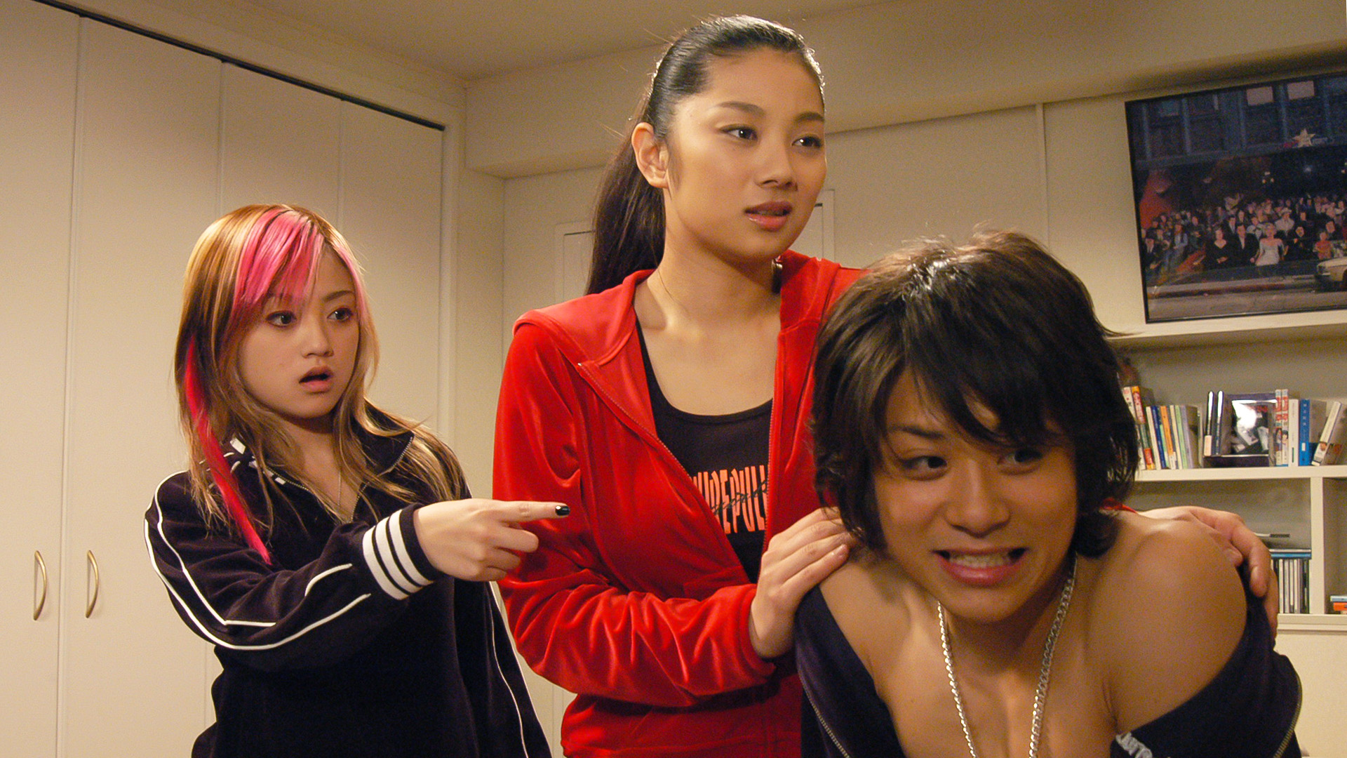 ドールハウス～特命女性捜査班～(国内ドラマ / 2004) - 動画配信 | U