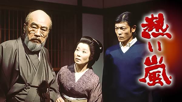 熱い嵐 - サムネイル