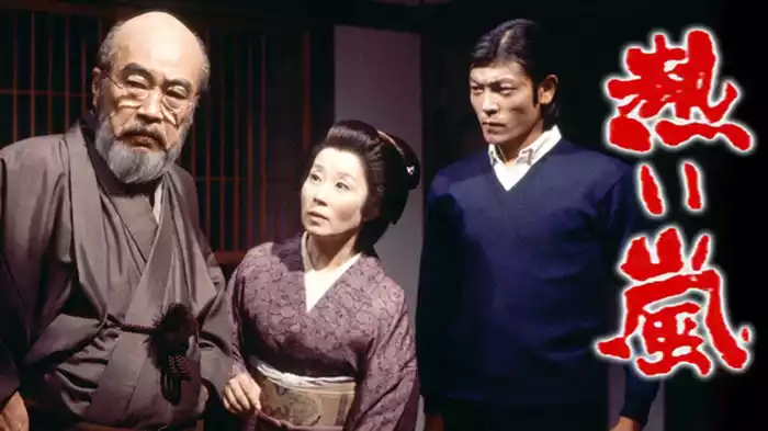 熱い嵐