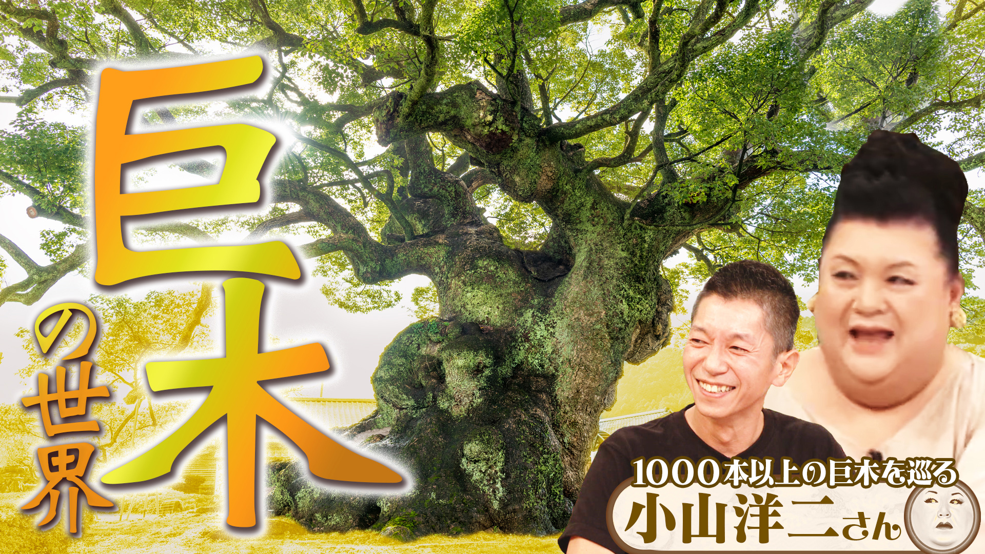 #457 後編！「巨木の世界」