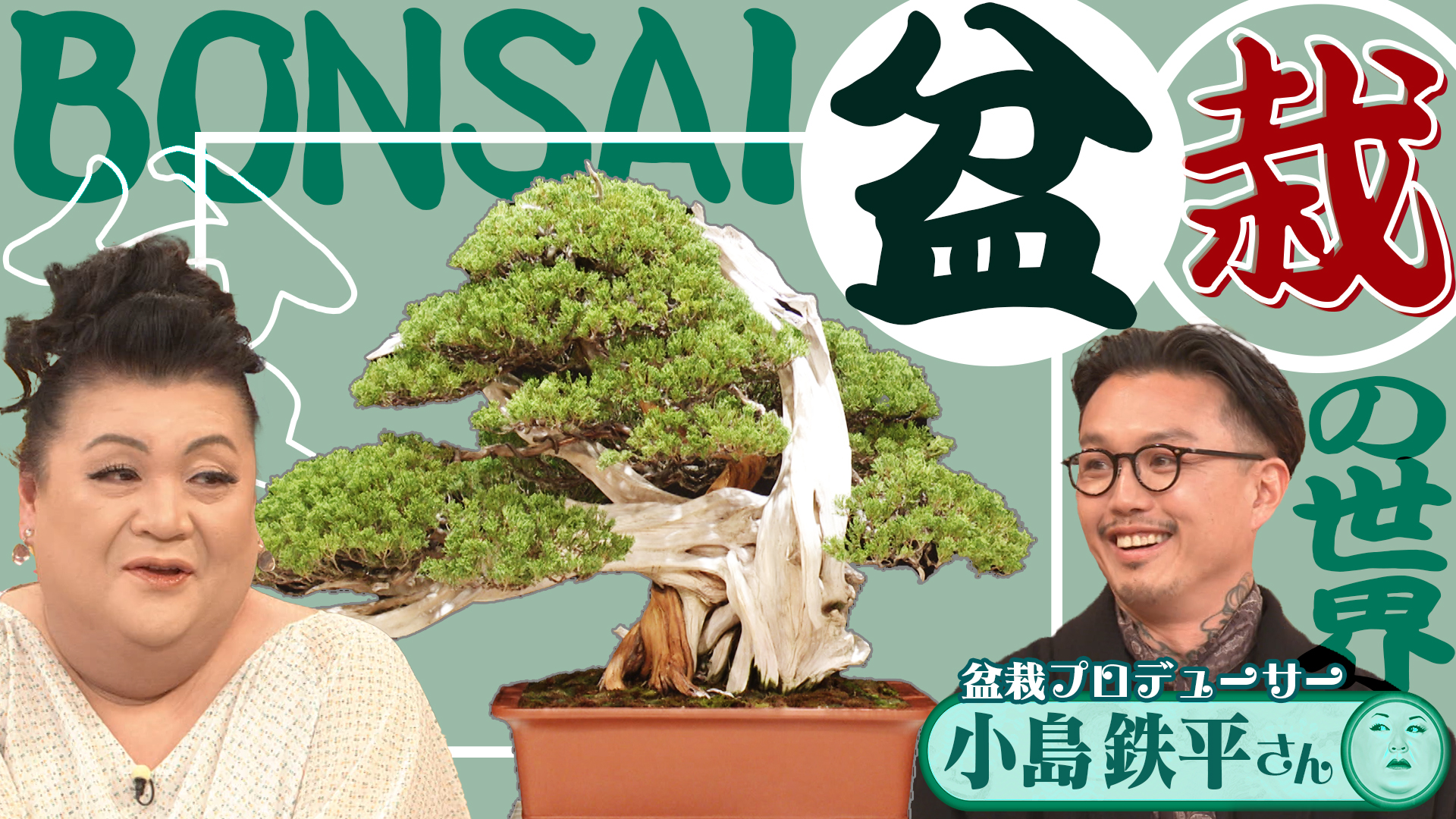 #502 前半「盆栽の世界」