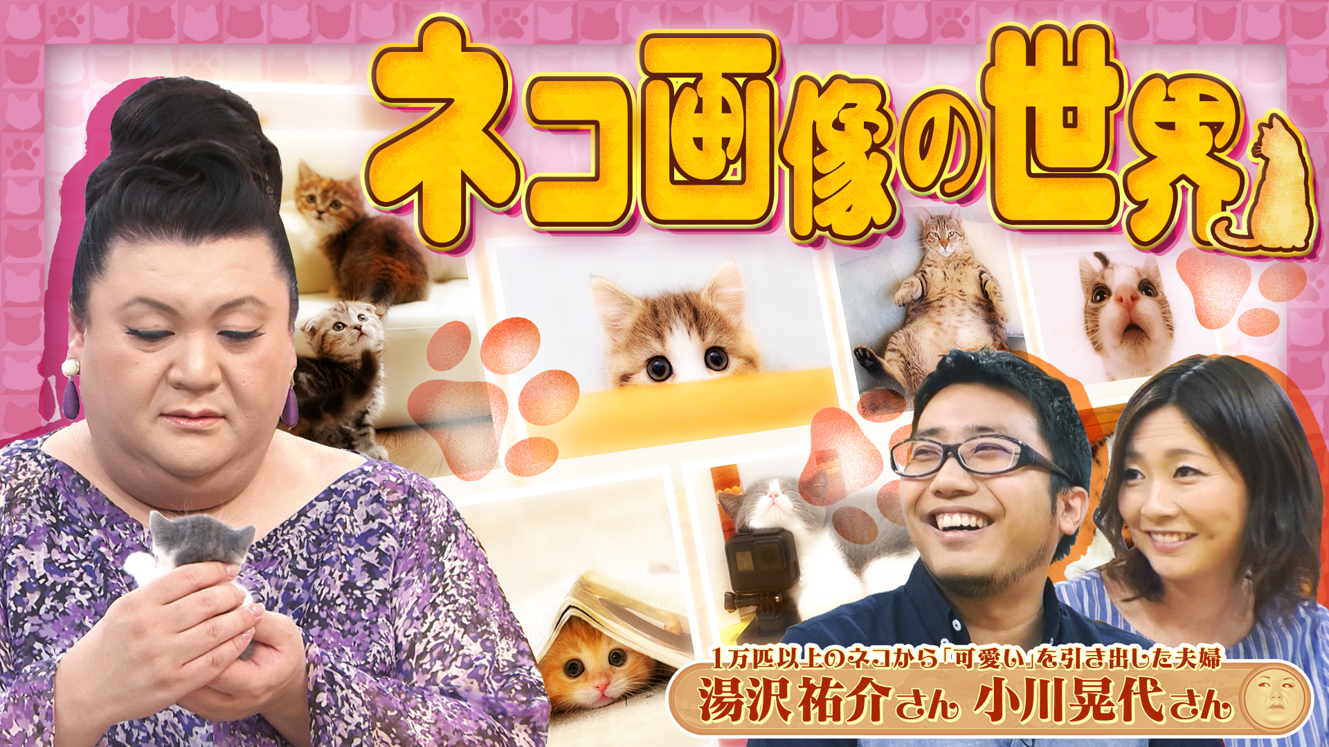 #507 後半「ネコ画像の世界」