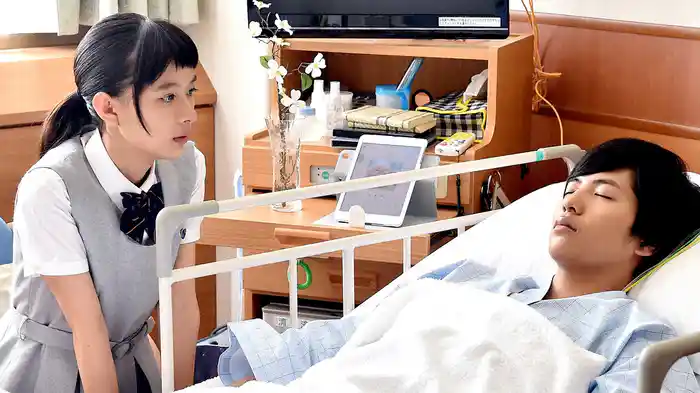 “ハナミズキ”に込めた秘密の恋