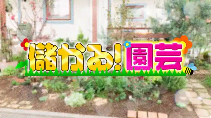 #1026 儲かる園芸