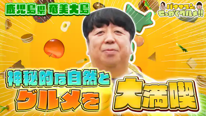 #240SP 日村さんは奄美大島！名物鶏飯＆島豆腐定食に興奮