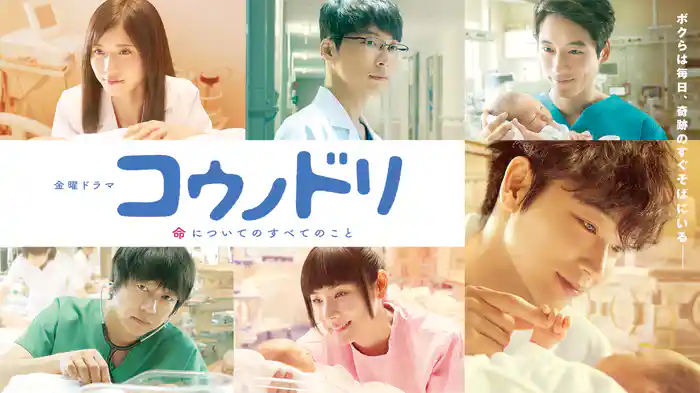 コウノドリ(2017)