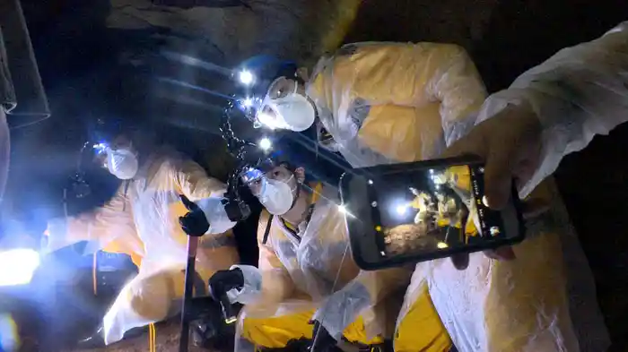 #2 台湾危険生物捕獲の旅