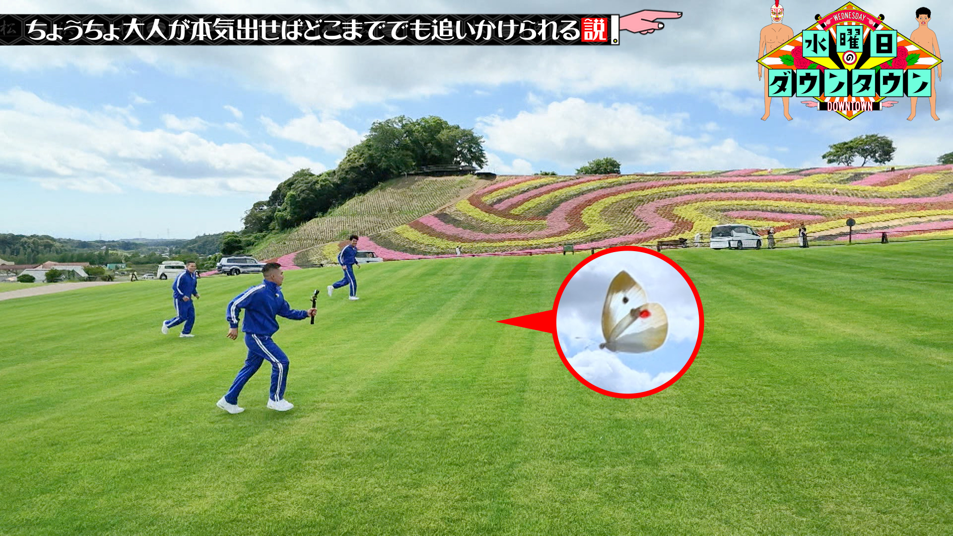#472 ちょうちょ、大人が本気出せばどこまででも追いかけられる説