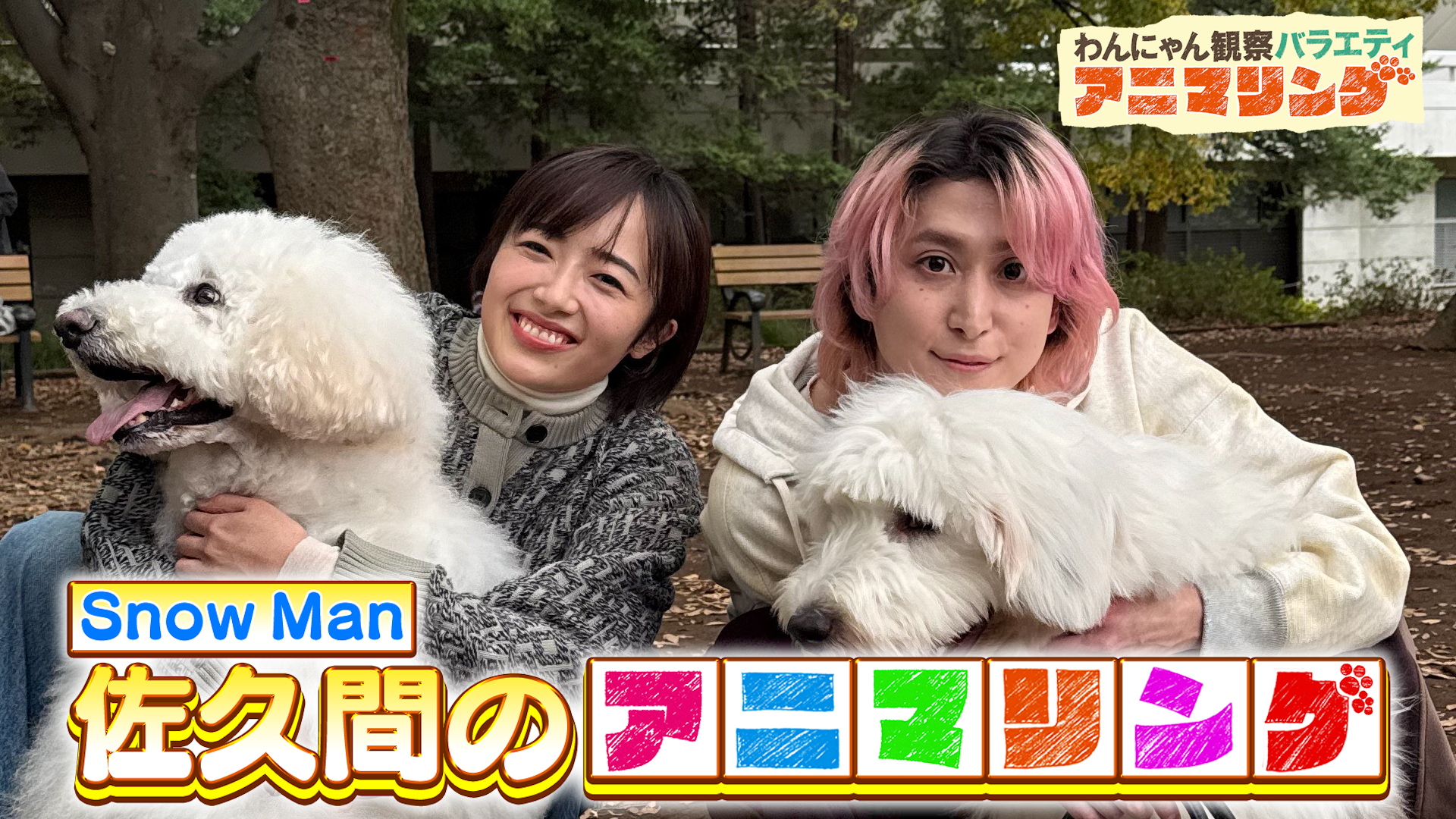 #410 アニマリングとコラボ！Snow Man佐久間が大型犬に振り回される！？