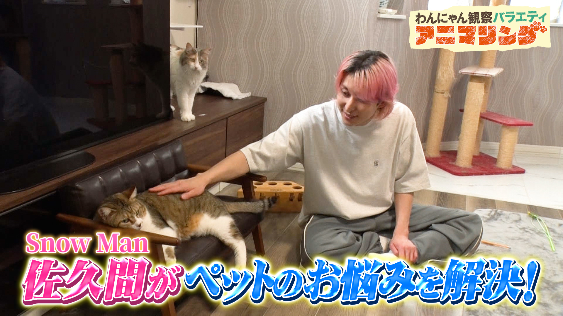 #414 アニマリングコラボ Snow Man佐久間がワンちゃん・猫ちゃんのお悩みを解決