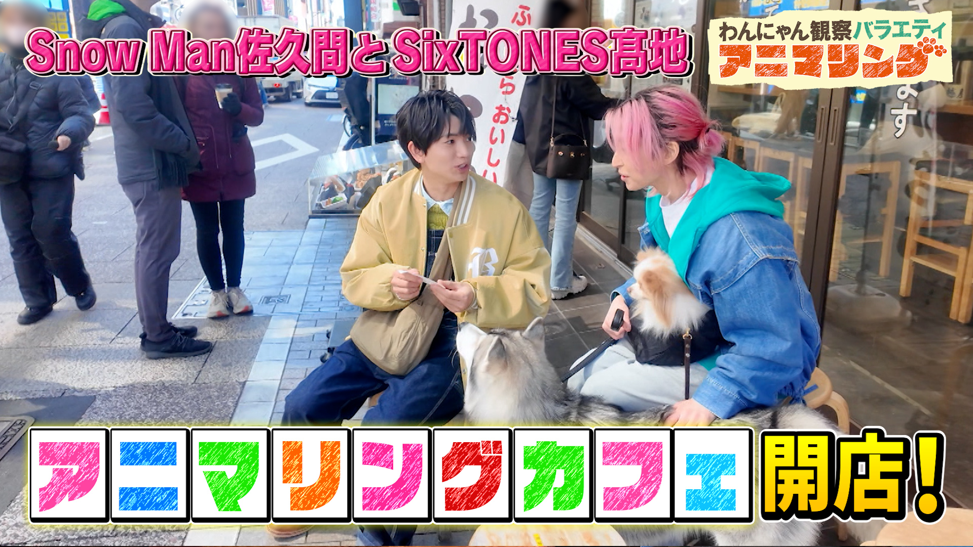 #419 Snow Man佐久間とSixTONES髙地がワンちゃんに振り回される！？