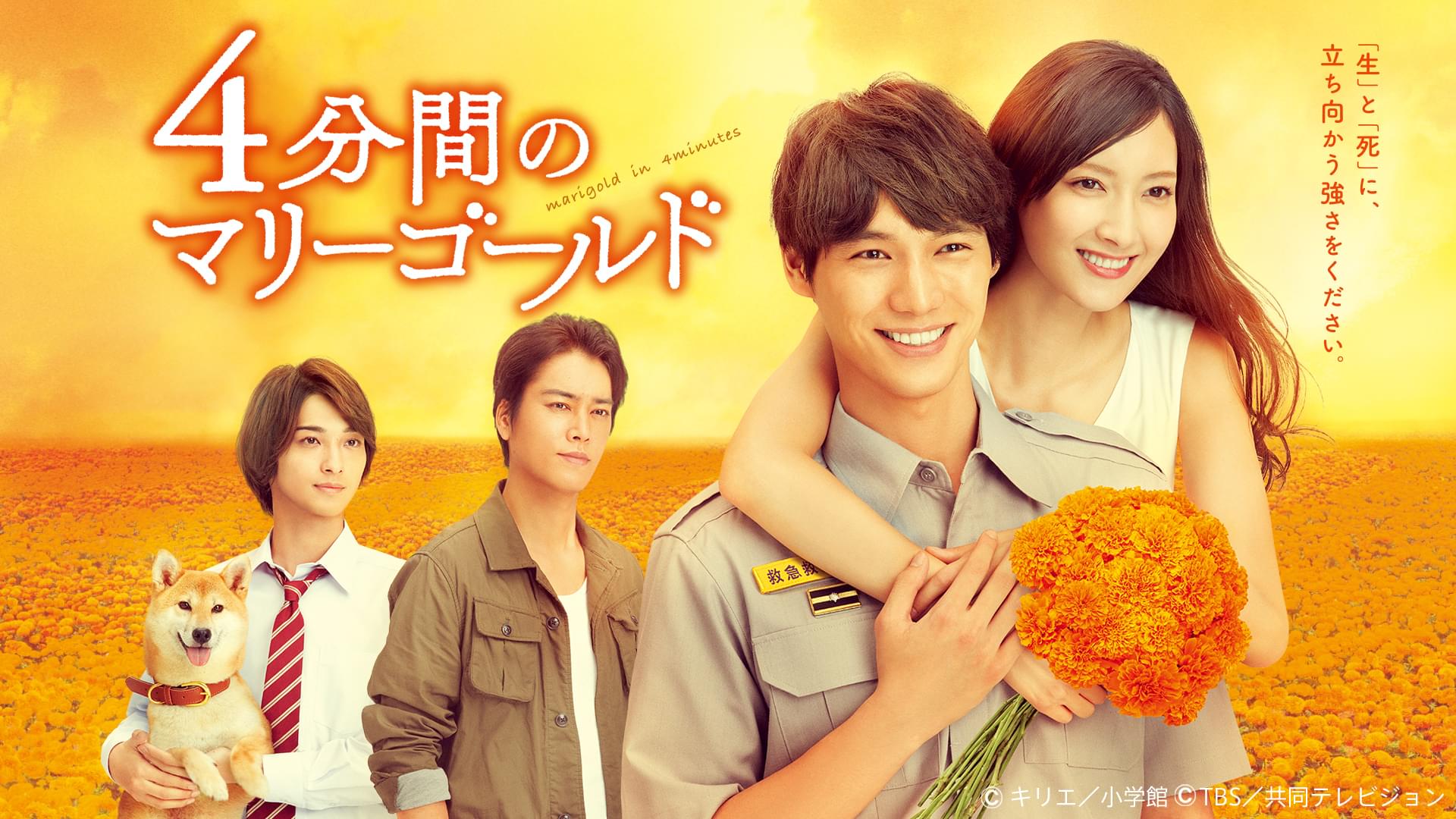 4分間のマリーゴールド(国内ドラマ / 2019) - 動画配信 | U-NEXT