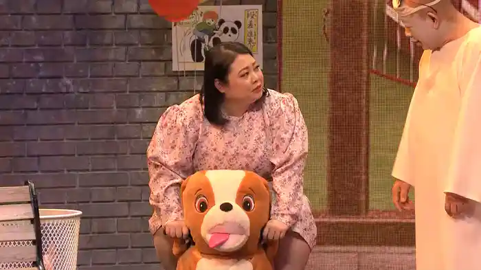 渡辺直美(放送版)