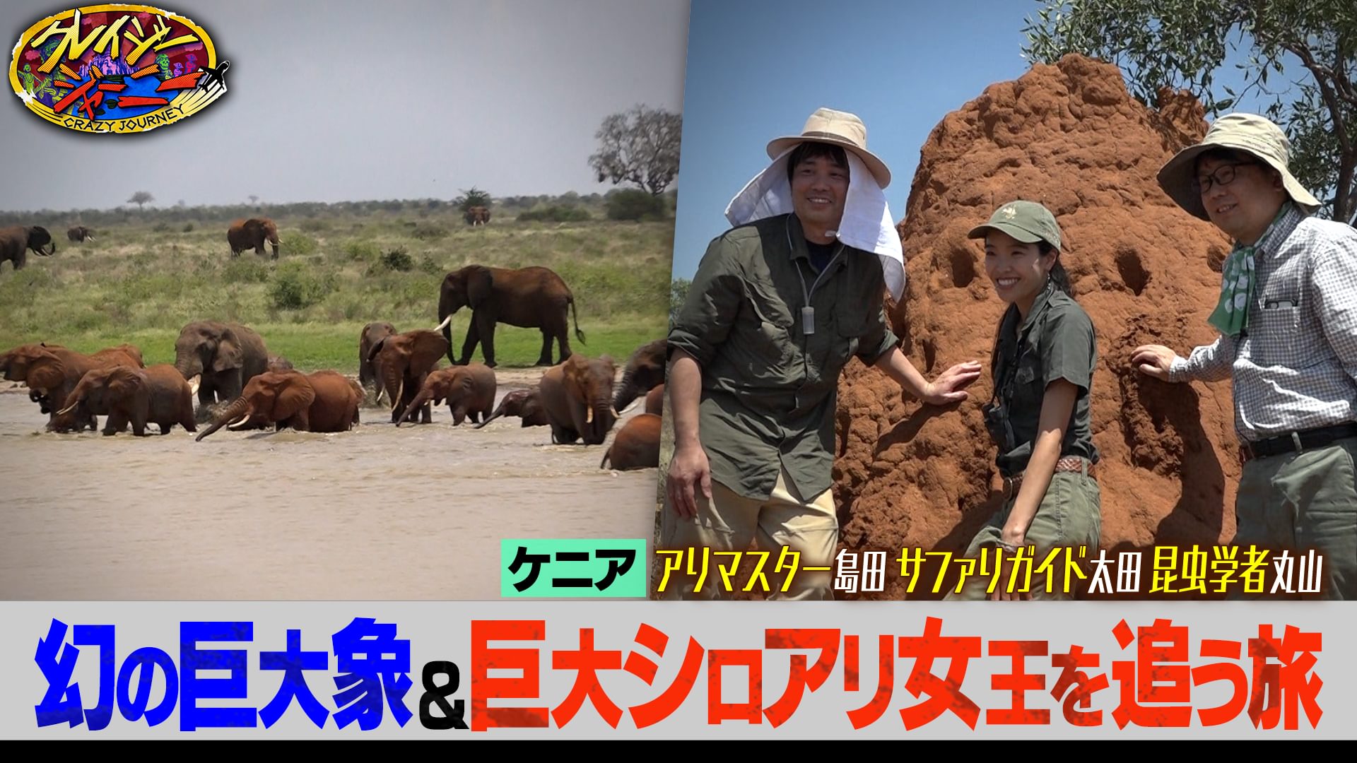 #107 世界に20頭！巨大な牙を持つ幻のゾウ大捜索★まるで怪物…シロアリの女王発見！ケニア旅完結編