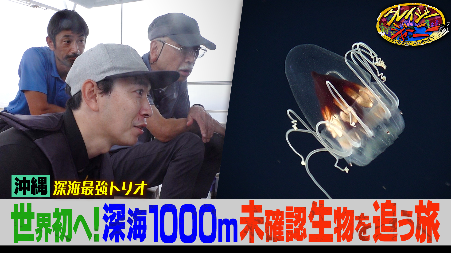 #114 まるでCGの世界★不思議でかわいい沖縄の深海生物