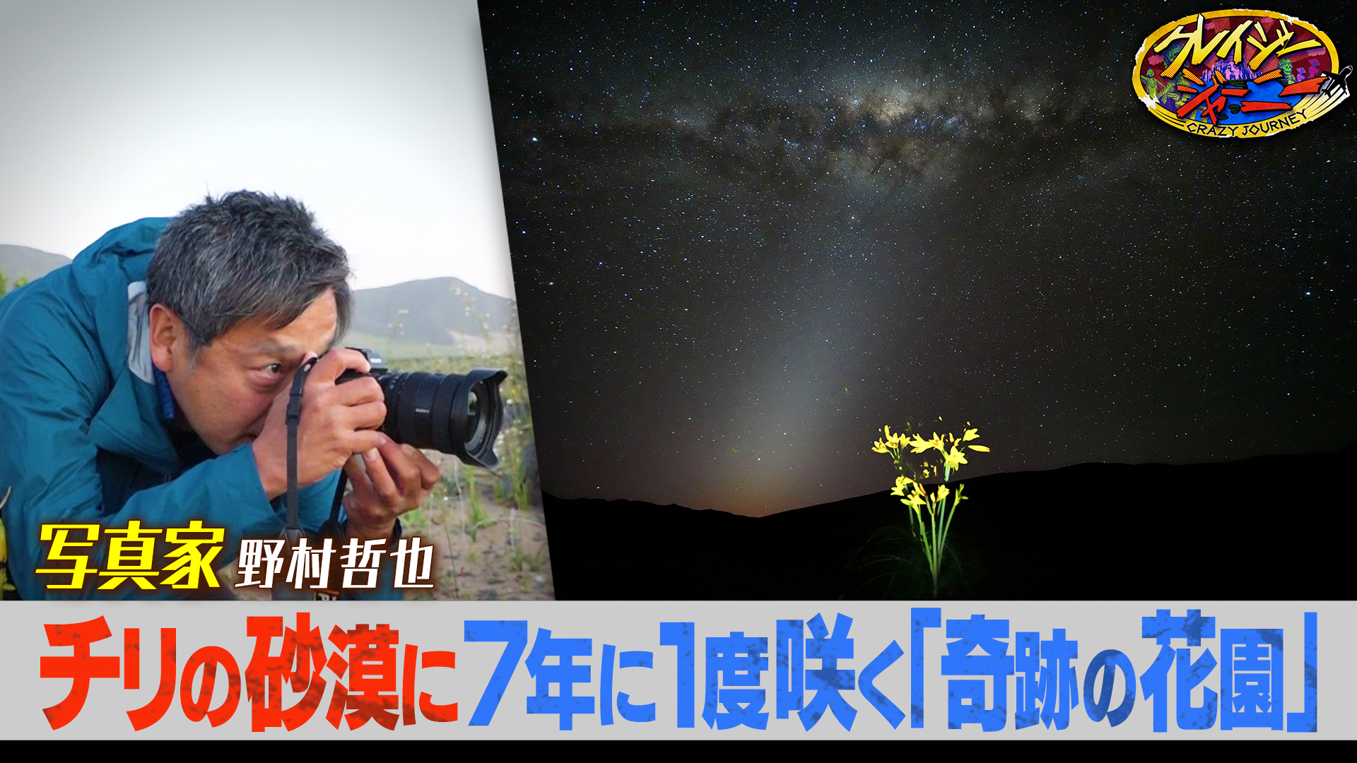 #115 7年に1度の奇跡★砂漠が360度花園に！南米チリ撮影旅