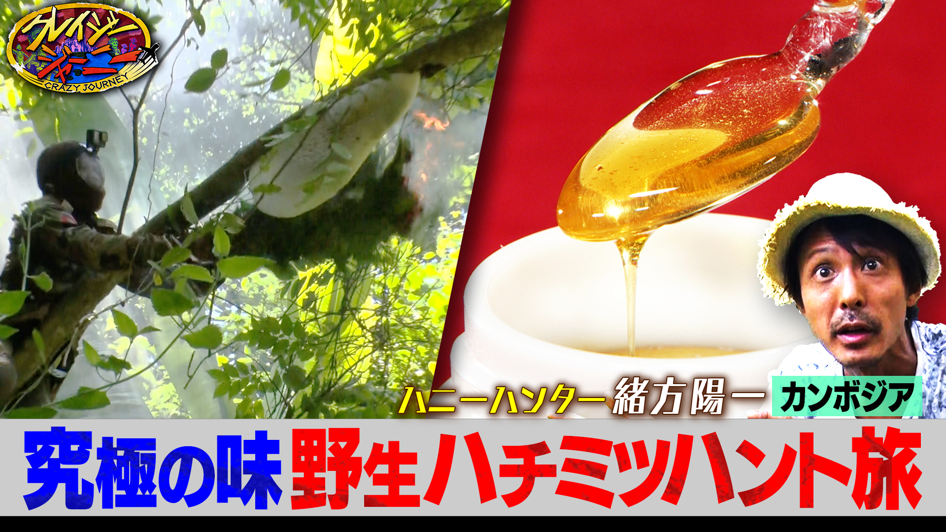 #116 ジャングルのお宝★究極の野生のハチミツ探し！カンボジア旅