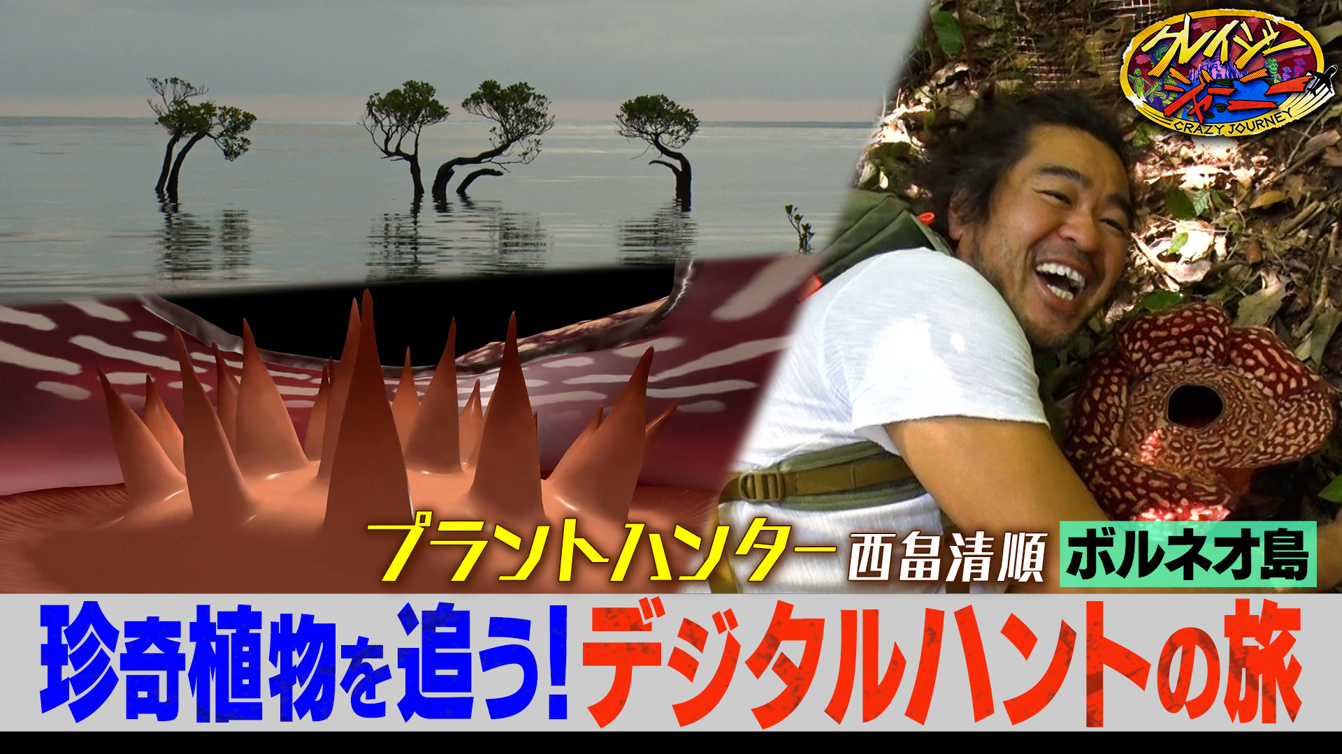 #118 摩訶不思議…珍奇な植物だらけ！ボルネオ旅★超クレイジープラントハンター初登場！