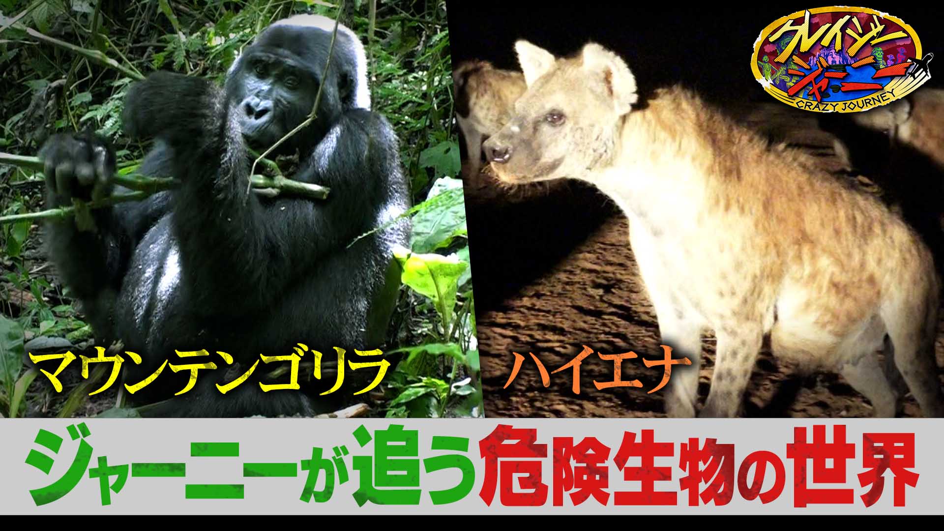 #128 これまでジャーニーたちが追ってきた超危険生物SP！大快挙！島田＆丸山の昆虫コンビが国立科学博物館の特別展示を特別解説！