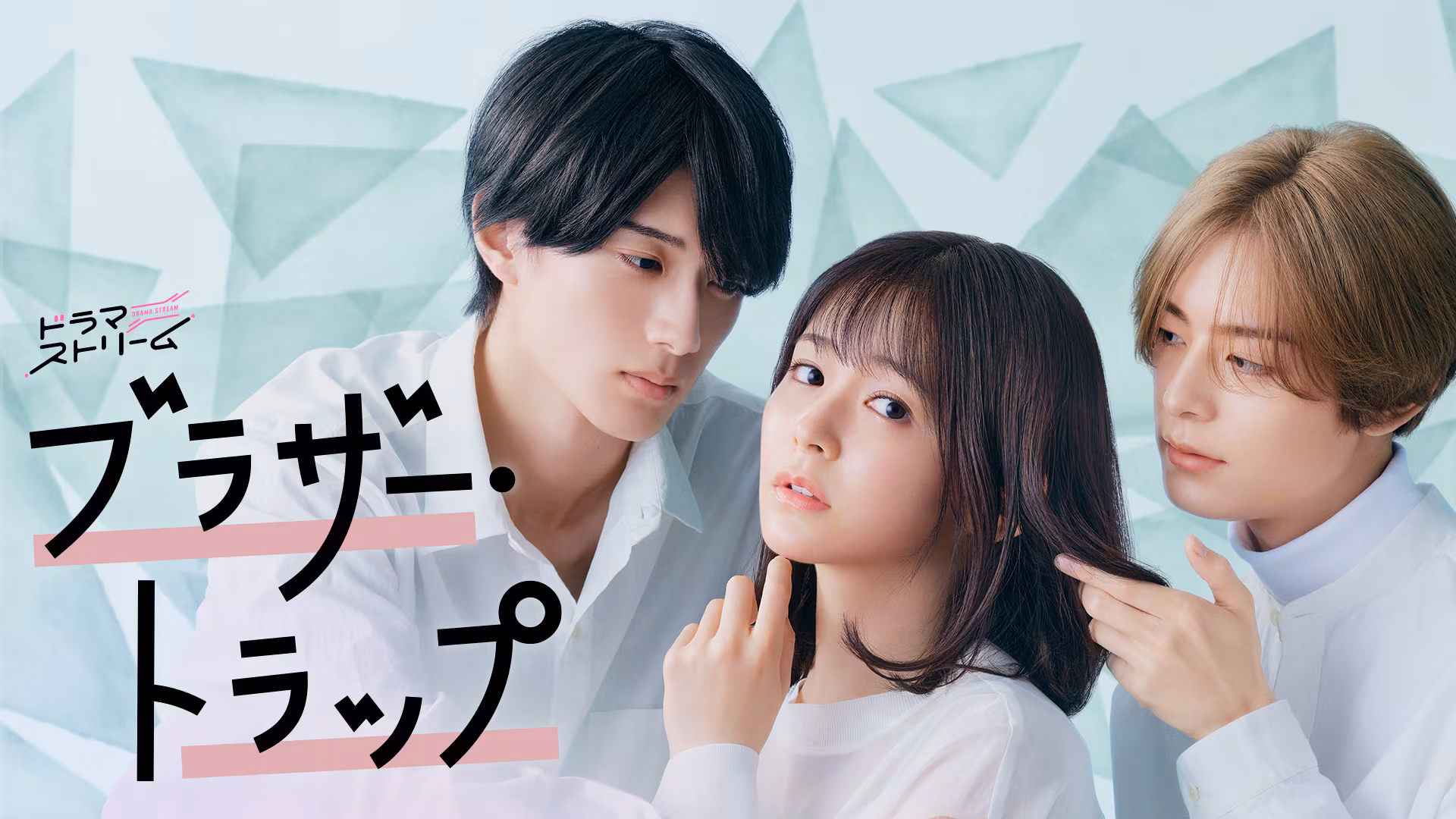 ドラマ｜ブラザートラップの動画を無料で見れる配信サイトまとめ