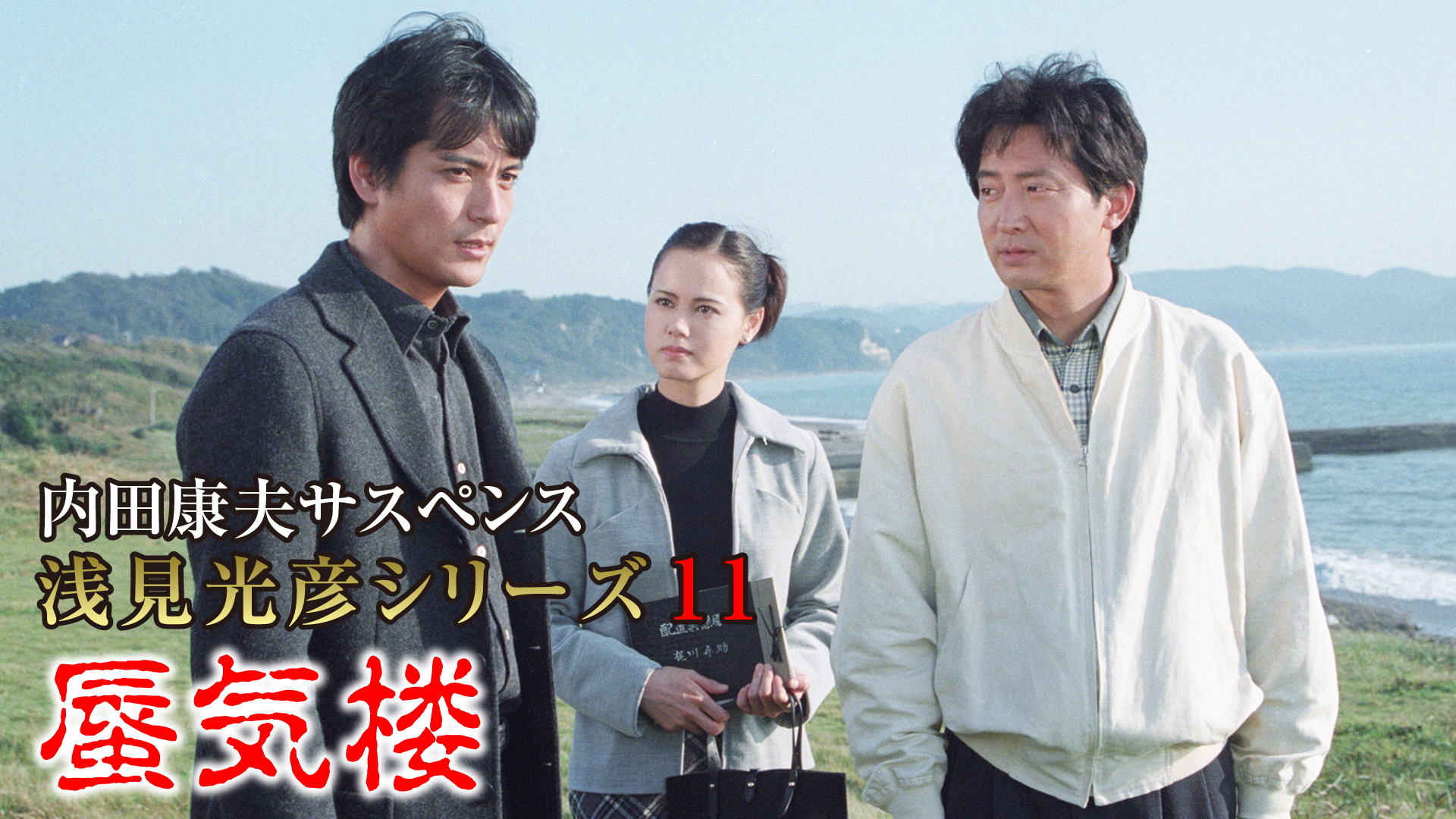 DVD 内田康夫サスペンス 浅見光彦シリーズ 11巻 沢村一樹 テレビドラマ