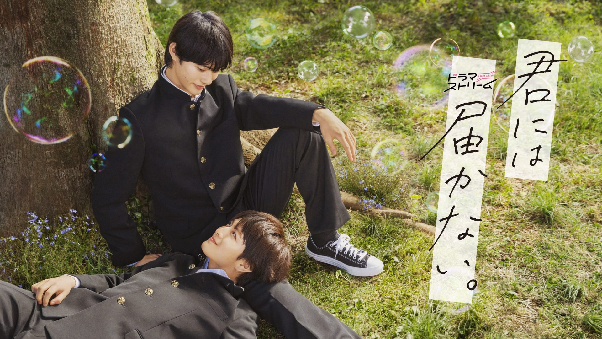 君には届かない。 - サムネイル