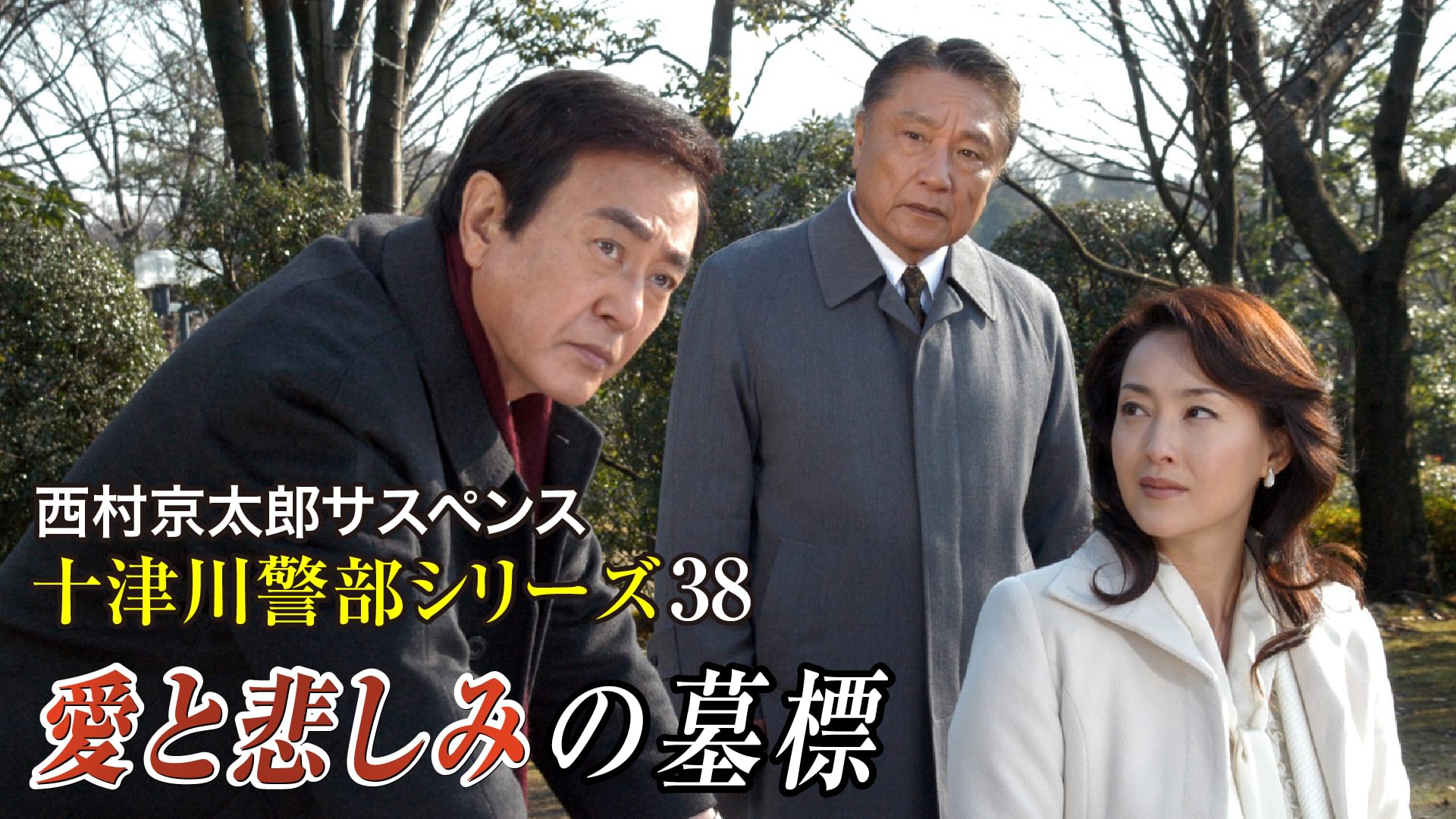 西村京太郎サスペンス十津川警部シリーズ38 愛と悲しみの墓標 - サムネイル