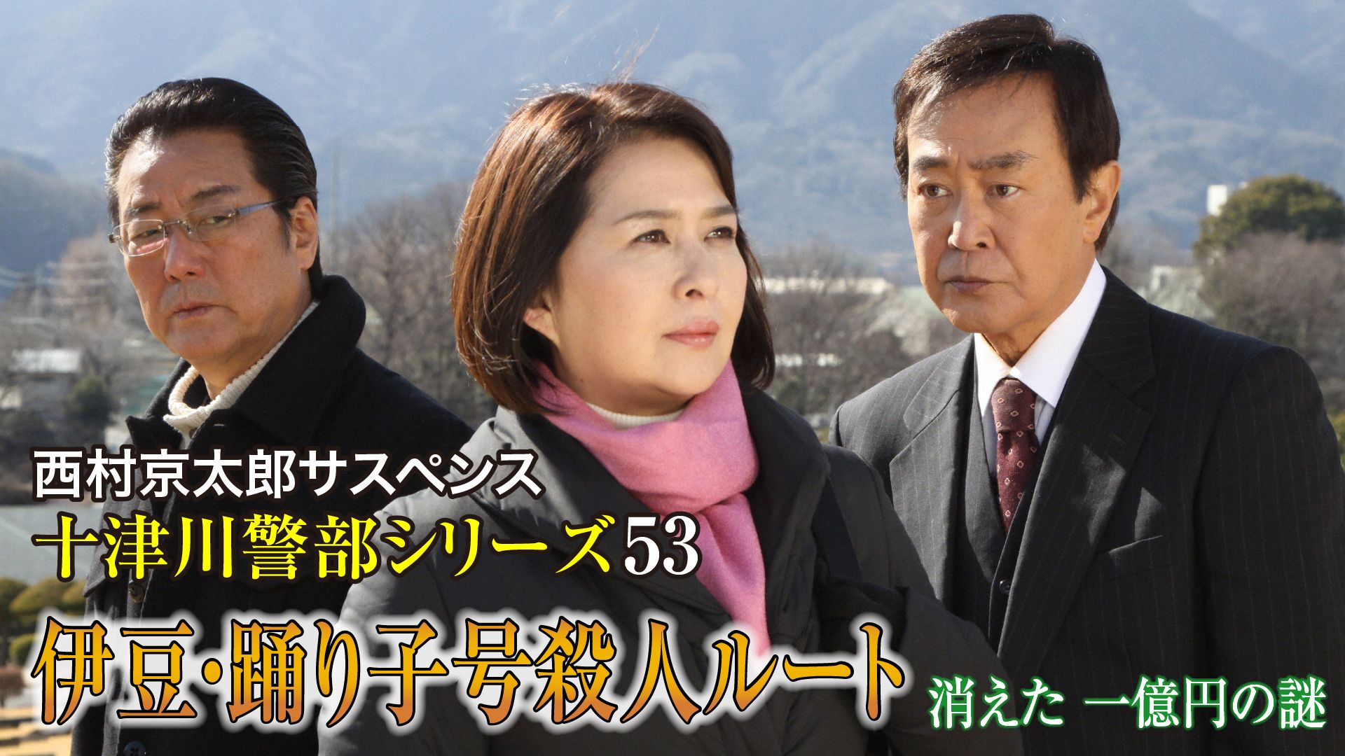 西村京太郎サスペンス 十津川警部シリーズ53 伊豆・踊り子号殺人ルート ~消えた一億円の謎~