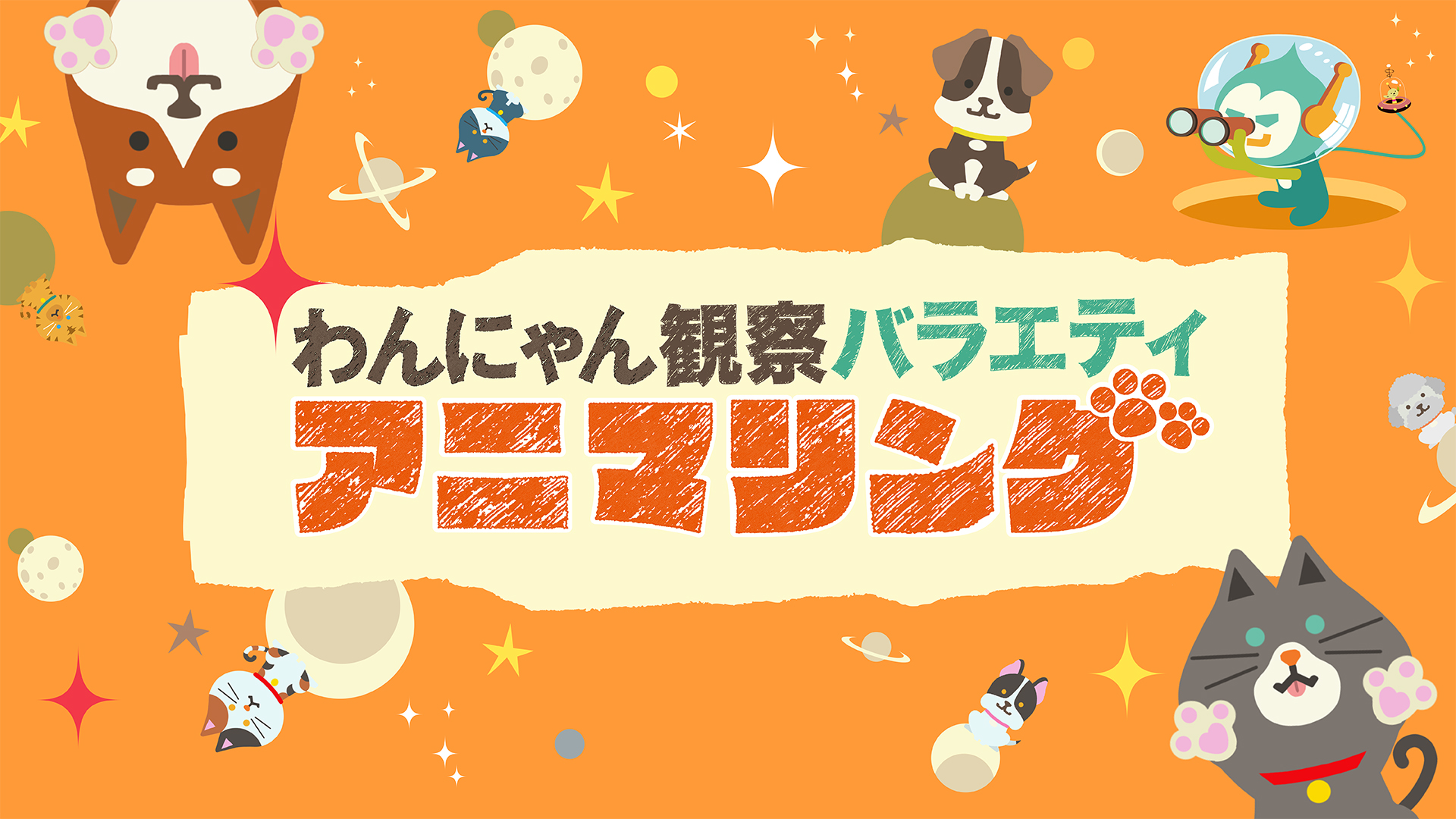 わんにゃん観察バラエティ アニマリング(TV番組・エンタメ / 2024) - 動画配信 | U-NEXT 31日間無料トライアル