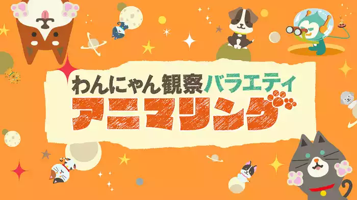わんにゃん観察バラエティ アニマリング