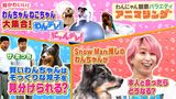 2024/06/10回 #3 Snow Man大好き犬が本人と対面！一体どうなる？