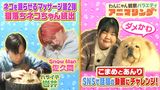 #9 松本若菜と俳優犬・暖くんの再会！Snow Man佐久間が挑む猫マスターへの道