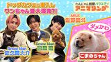 2025/02/14回 #10 目指せ動物マスター！Snow Man佐久間の人気企画に目黒蓮＆佐野勇斗が参戦！