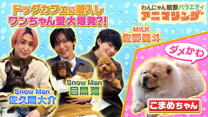 #10 目指せ動物マスター！Snow Man佐久間の人気企画に目黒蓮＆佐野勇斗が参戦！