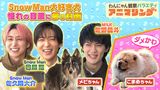 2025/03/14回 #11 Snow Man大好き犬に目黒が対面！佐久間がこまめとチャレンジ動画に挑戦！