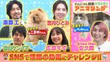 2025/03/27回 #12 ダメかわ犬が広瀬すず＆松山ケンイチとチャレンジ動画