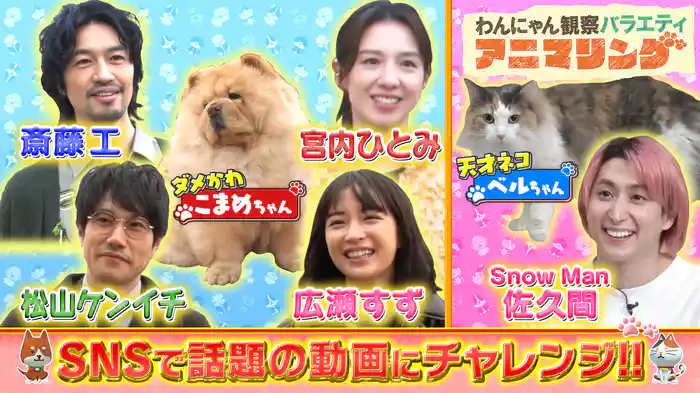 #12 ダメかわ犬が広瀬すず＆松山ケンイチとチャレンジ動画
