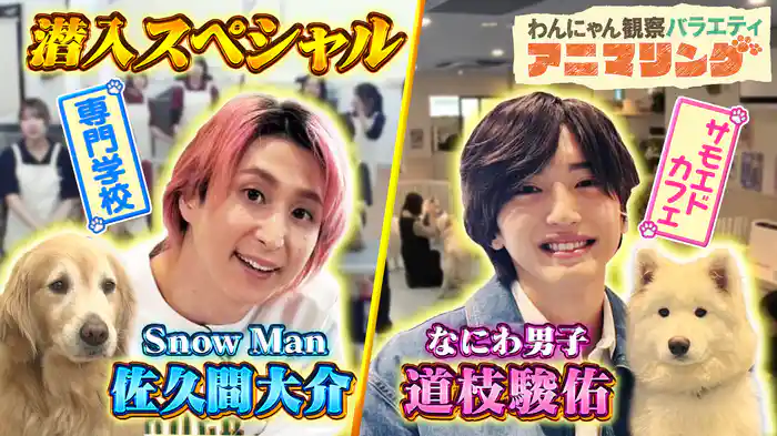 #13 Snow Man佐久間が動物の専門学校に潜入！