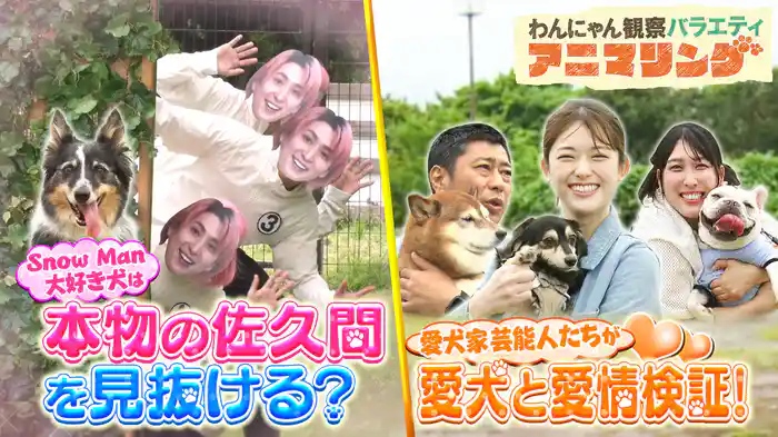 #14 Snow Man佐久間も参戦！芸能人＆愛犬の愛情チェックSP！