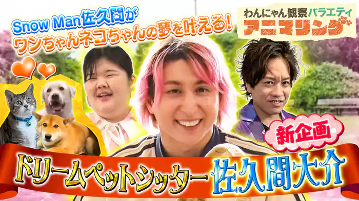 #15 Snow Man佐久間がワンちゃん猫ちゃんの夢を叶えるペットシッターに！！