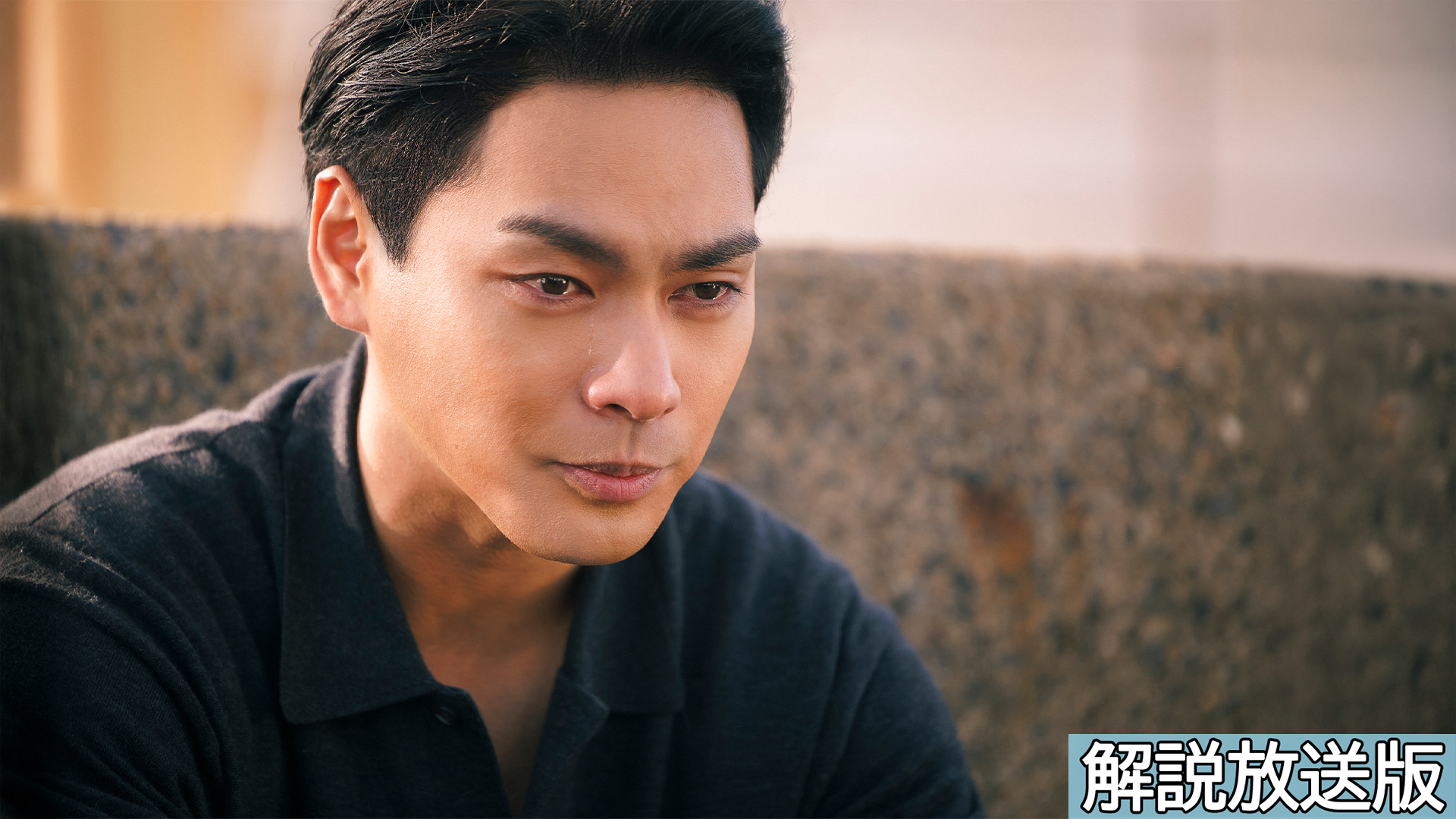 【解説放送版】ライオンを助けたい！