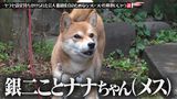2021/05/05回 #249 ヤラセ設定持ちかけられた芸人、番組成立のためならついつい片棒担いじゃう説 ほか