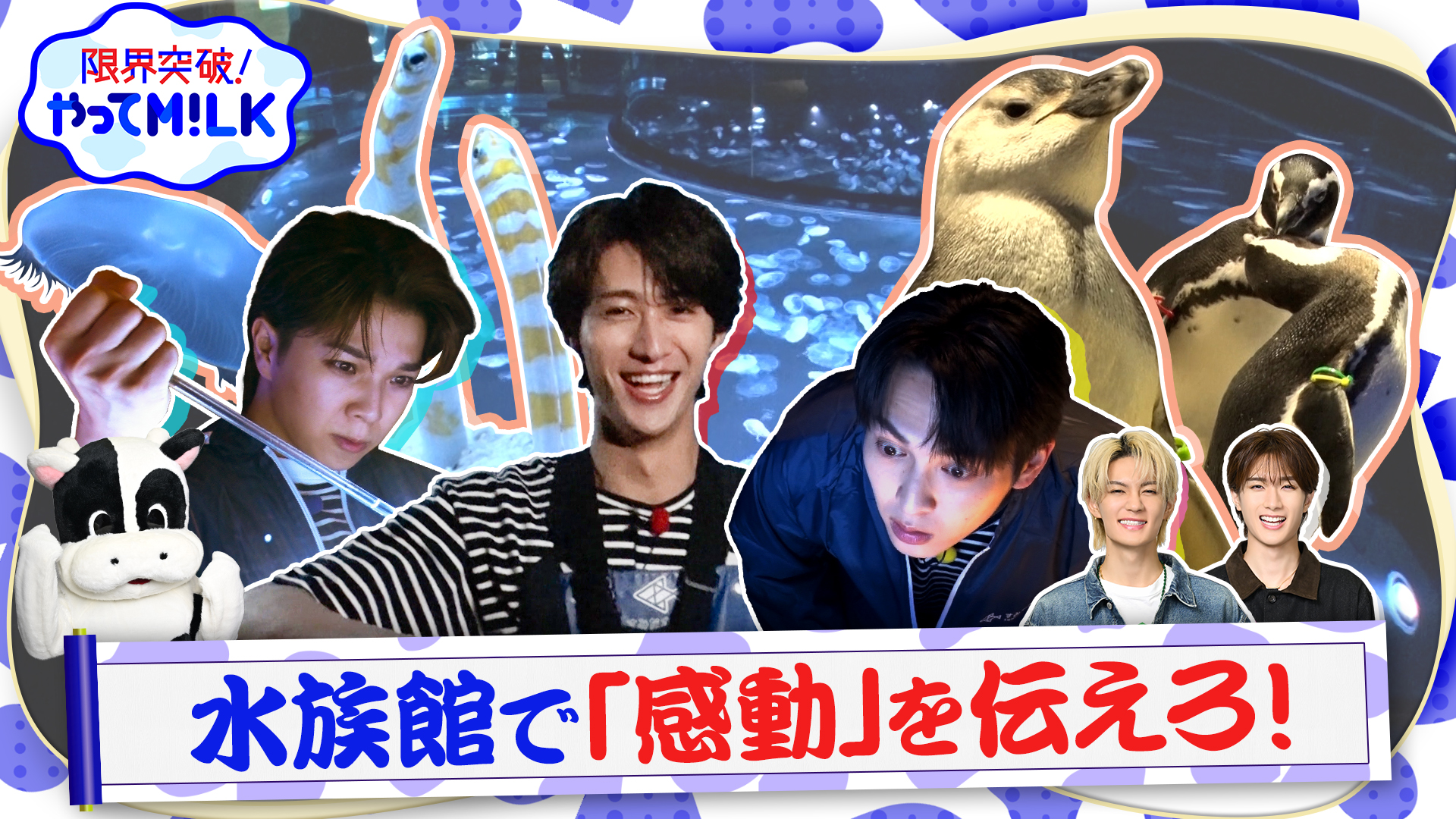 #34 水族館で感動を伝えろ