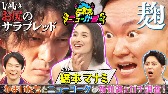 #15 橋本マナミの知りたい新知識を全力調査