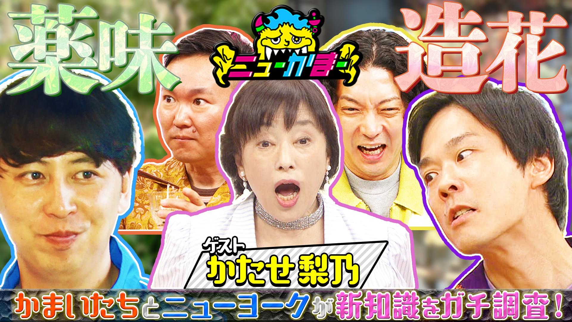 #17 かたせ梨乃の知りたい新知識を全力調査