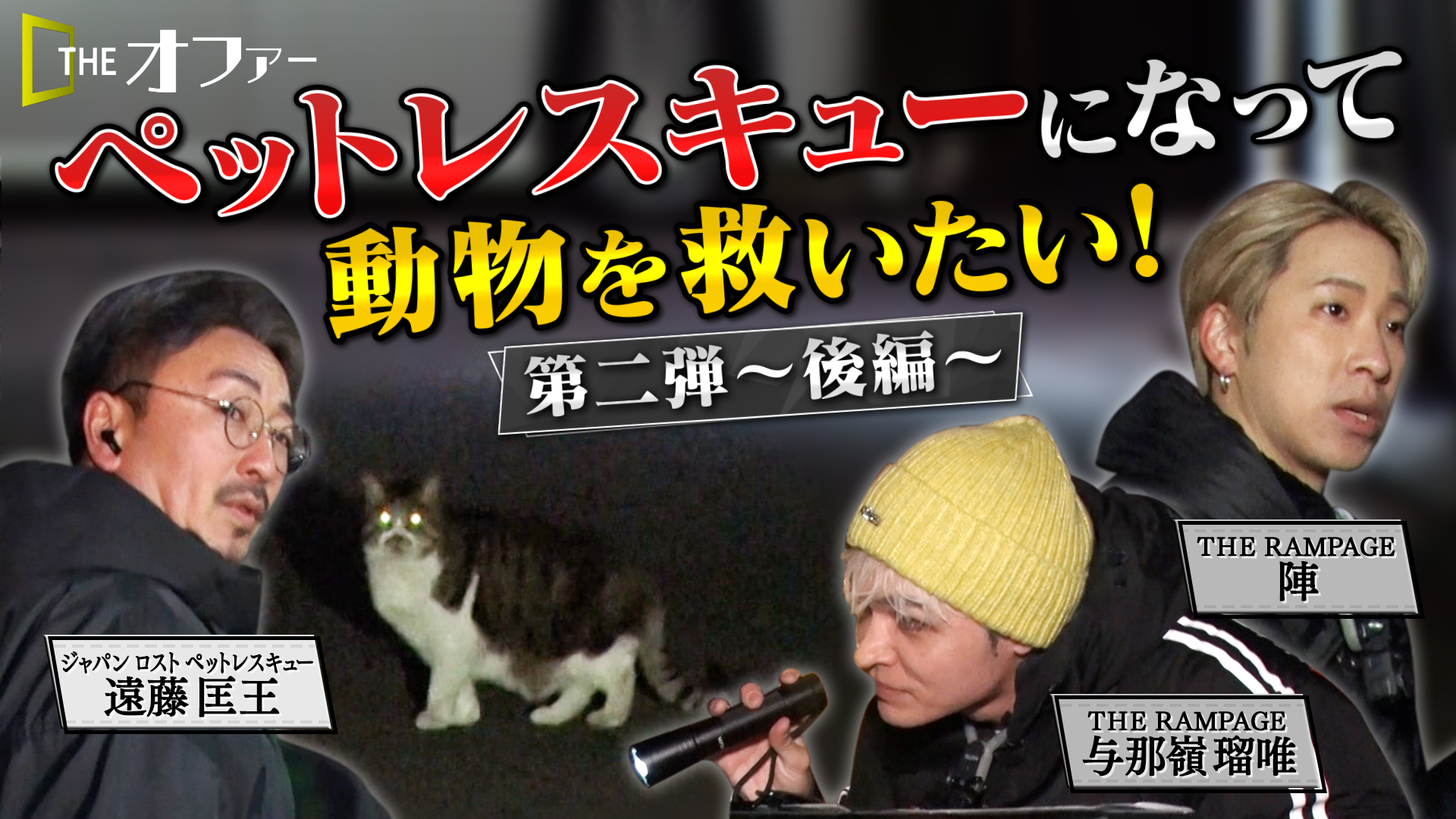 #40 ペットレスキューになって動物を救いたい！第二弾 後編