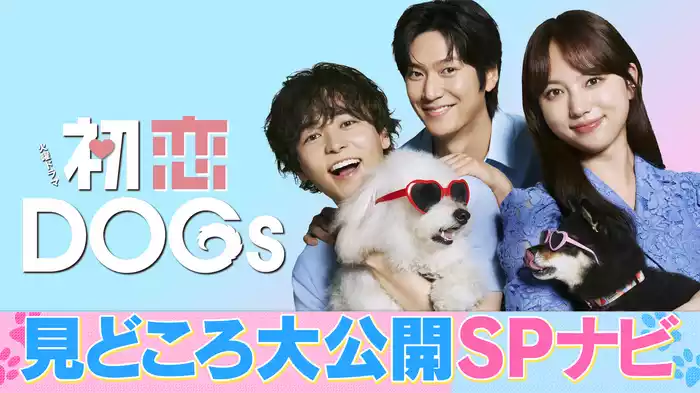見どころ大公開SPナビ